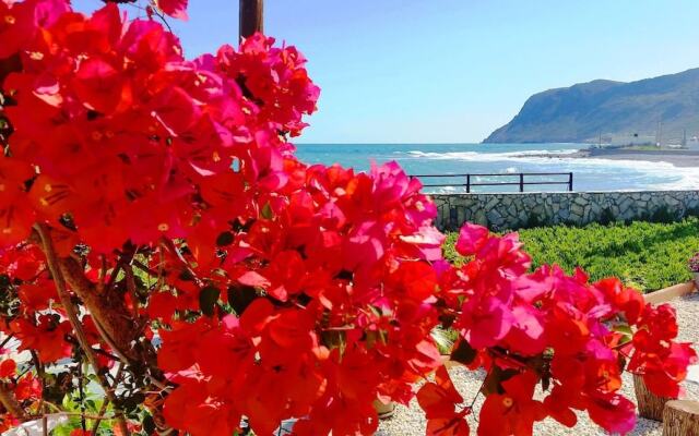 SEAesta Beach Studios