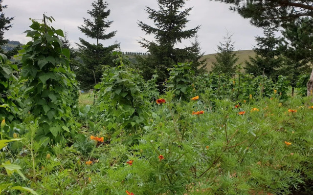 Yildiz Tepe Otel & Pansiyon