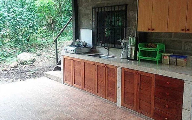 La Musa Verde