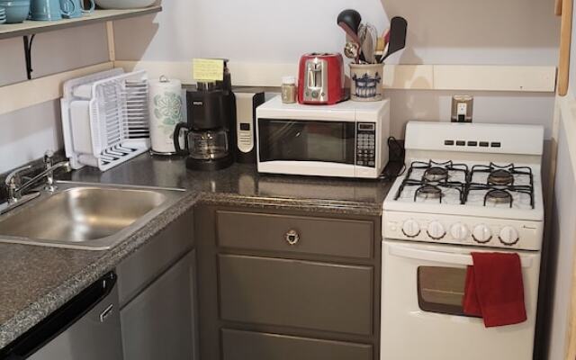 Mooseberry Cabin, Willow AK