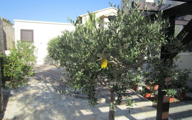 Apartment Frane