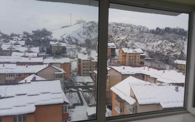 Apartament Viorea
