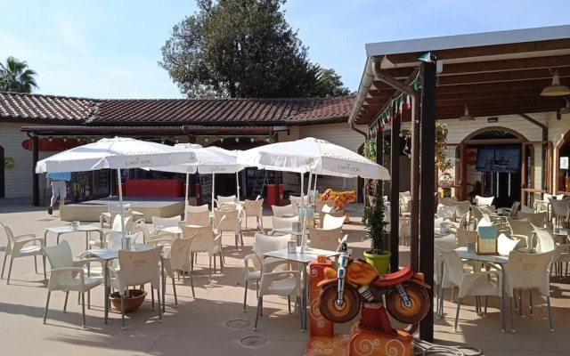 Campsite Chalet Zr28 Tuscany Near sea Viareggio