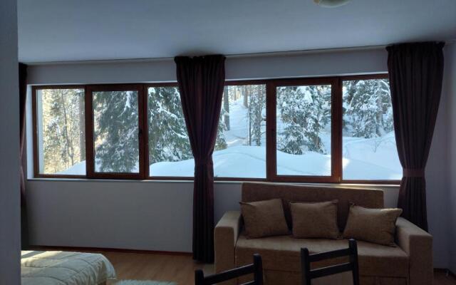 Ski & Holiday Apartments in Pamporovo