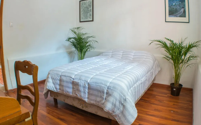 Casa Lumo in Roma Norte by Tasman