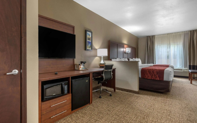 Comfort Inn & Suites Montgomery East Carmichael Rd