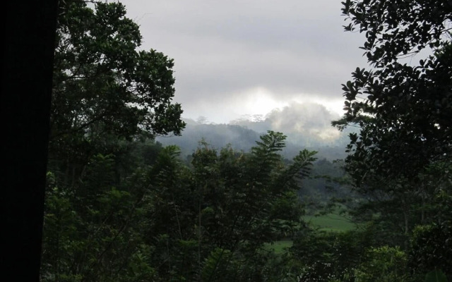 Bandura Kalawana Rainforest Bungalow