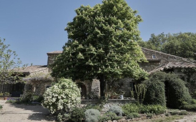 Gite La Cour du Marronnier