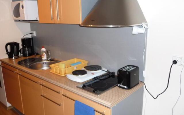 Viru Väljak Lux Apartment