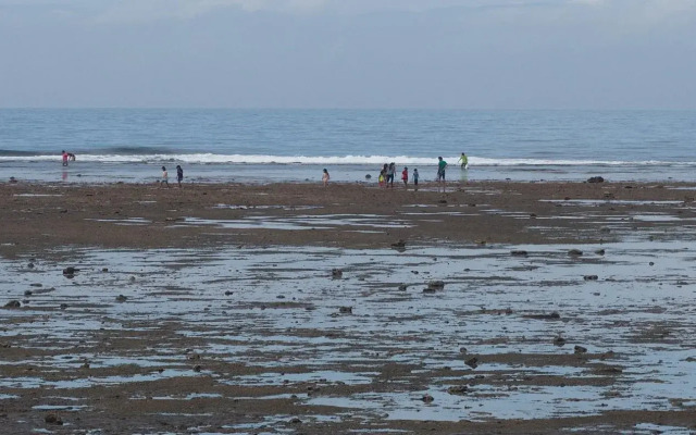 The Reef 077