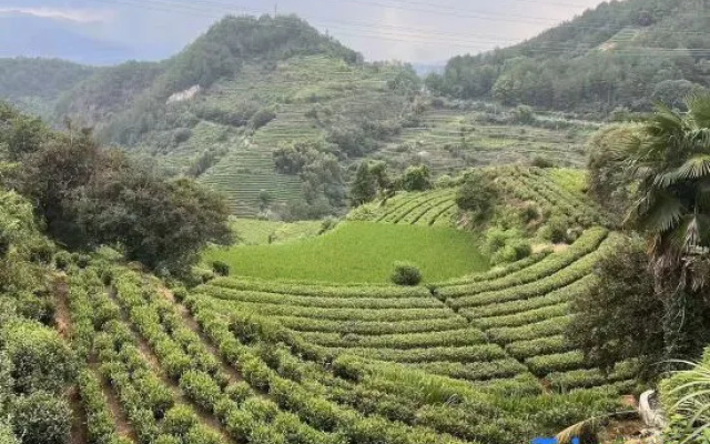 Yangjiatang Banshan Homestay – Outside – Lishui
