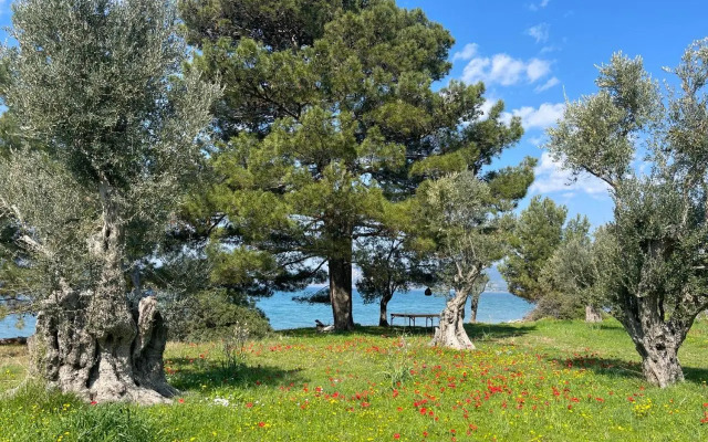 Villa Port Olivier