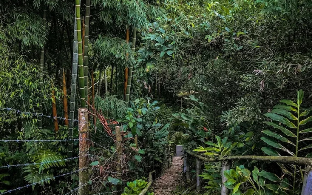 "room in Lodge - Tree House Finca La Floresta Verde"