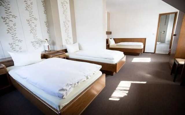 Hotel Friesenhof