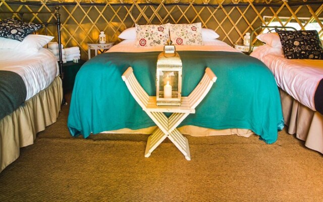 Pine - Shep Hut -Glamping