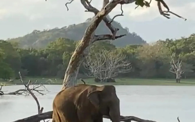 Humbhaha Jungle Nature Eco Resort