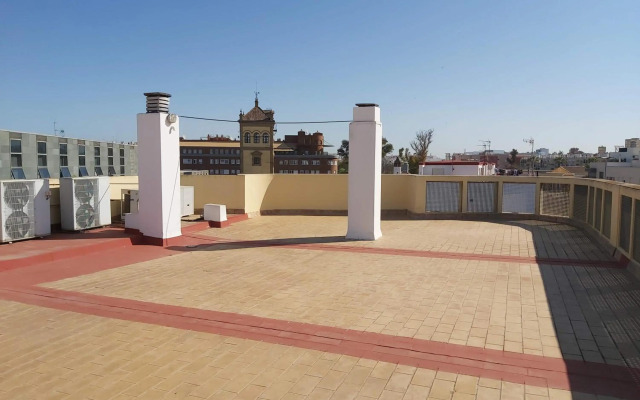 Misterhost san bernardo