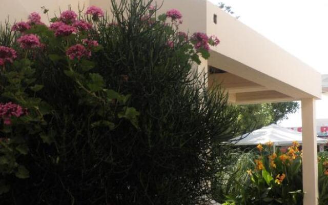 Aigialis Apartments & Studios