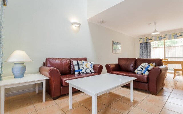 Banksia at Middleton