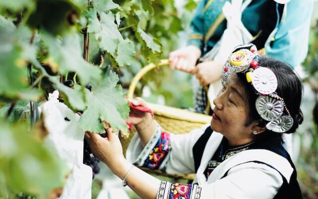LUX Tea Horse Road Da Ju Village