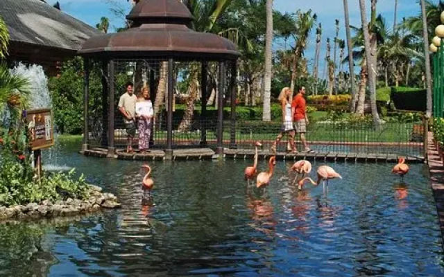 IBEROSTAR Dominica - 5 Nights, Higuey, Dominican Republic