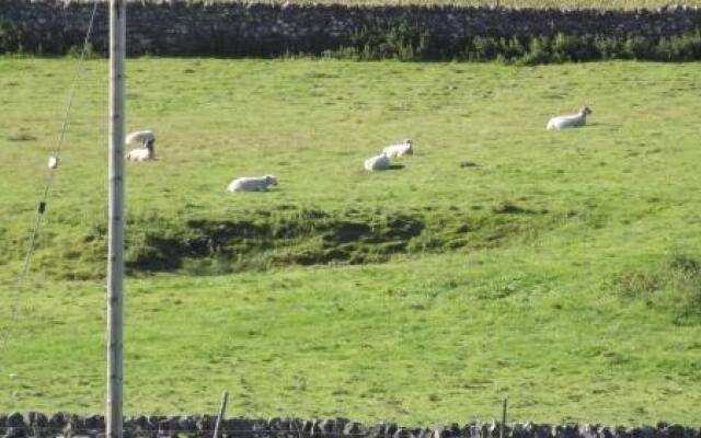 Curlew Barn