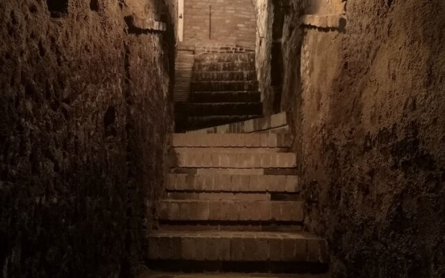 Tenuta S. Agnese