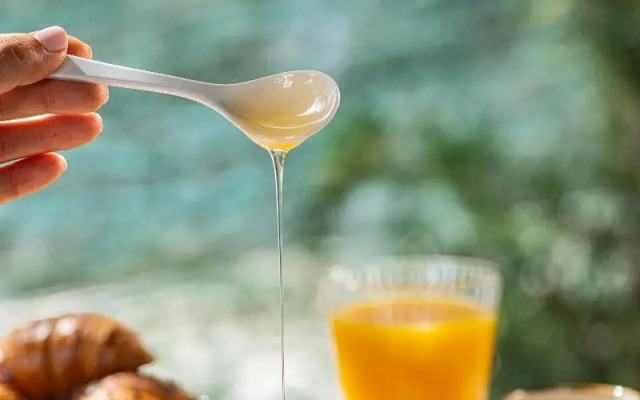 Olive Boutique Hotel