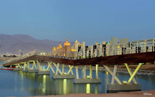 Brown Eilat