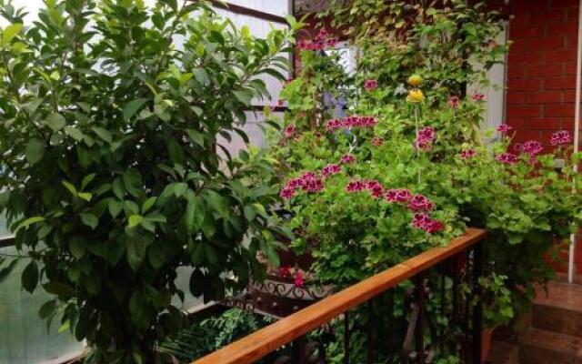 Guest House Aleksina