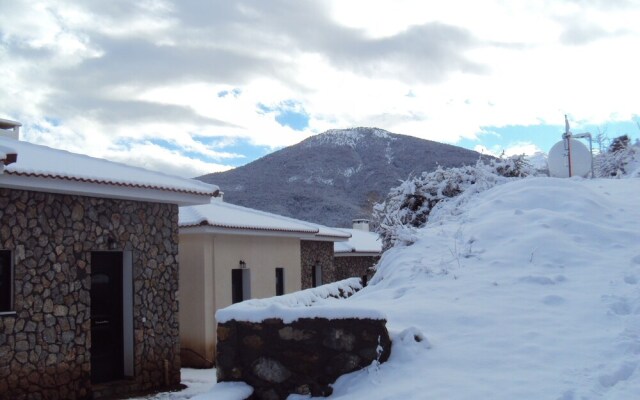 Pleiades Village