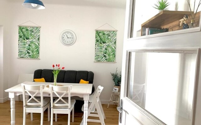 Historic Mexico Building Apartment