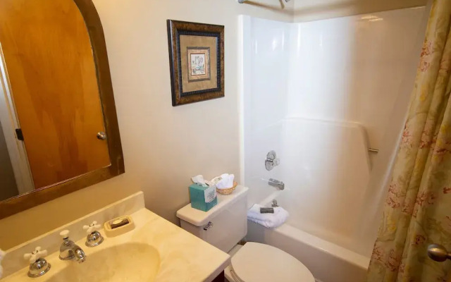 1br Ski-in, Ski-out At Okemo Mountain Lodge 1 Bedroom Condo by RedAwning