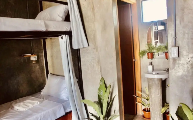 Hangover Hostel