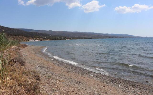 Vassia 3