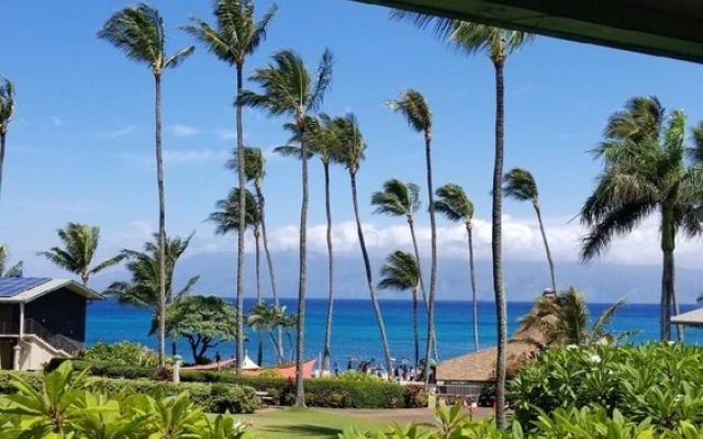 Napili Shores B214 Studio Bedroom Condo