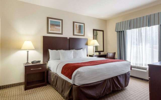 Comfort Suites Olive Branch - Memphis South