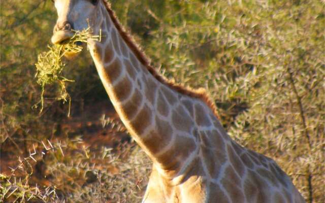 Zwartberg View Mountain Lodge