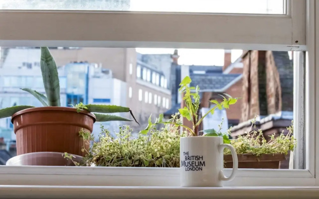 Studio Next to British Museum