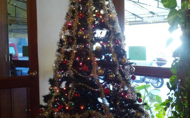 Hotel Villa Kinzica