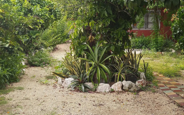 Casa Hostal Mamey - Hostel