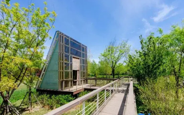 Yuanyang · Seatopia Homestay