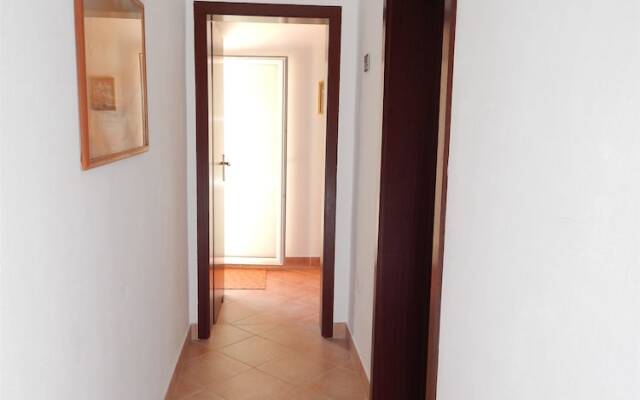 Apartments Rajko