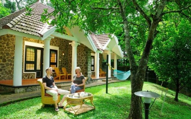 Hotel Treetop