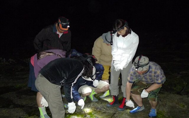 Bay of Chen-Hai Penghu Homestay