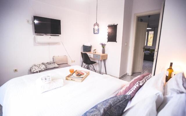 Lux apartment downtown