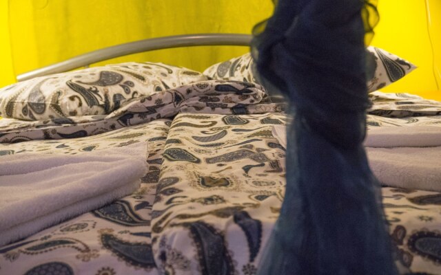 Victorious VIScovery Green