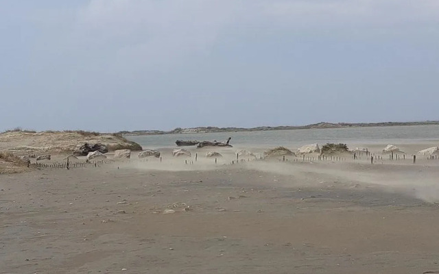 L'effet mer