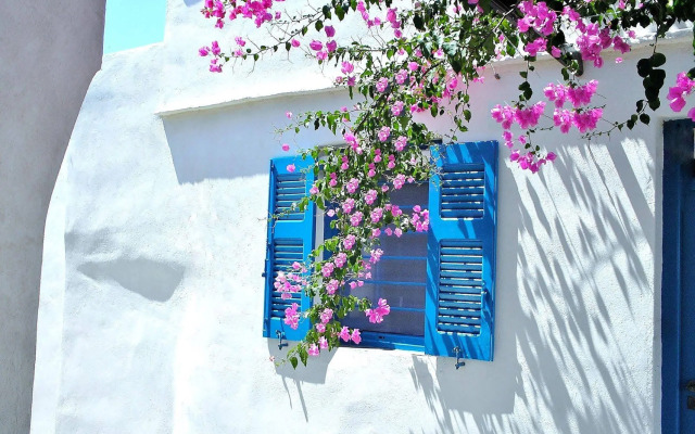 Purple Flower Villa