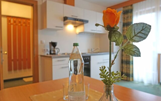 Apartment Falkner Längenfeld 29451
